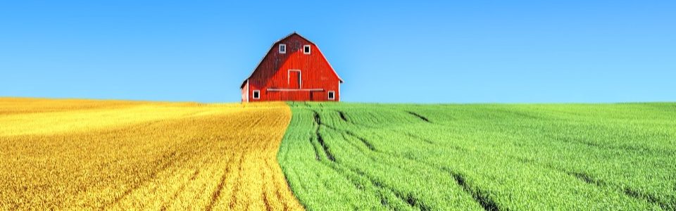 Het Bewaarde Land blog