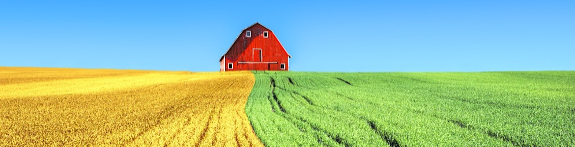 Het Bewaarde Land blog