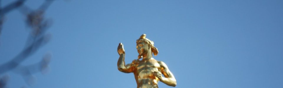 De Zwemmende stad blog